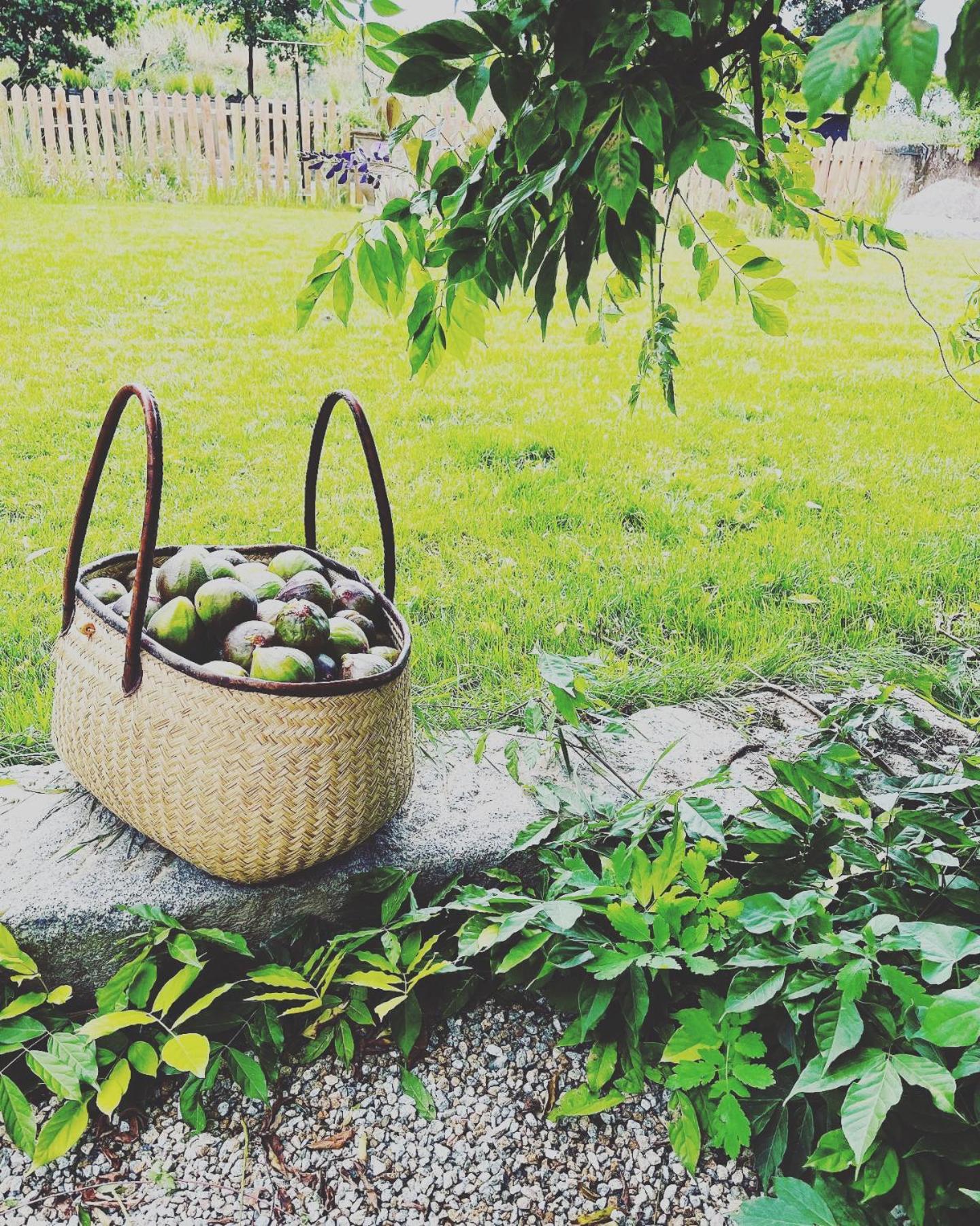 Domaine Du Tertre Ychot 호텔 돌드브레테인 외부 사진