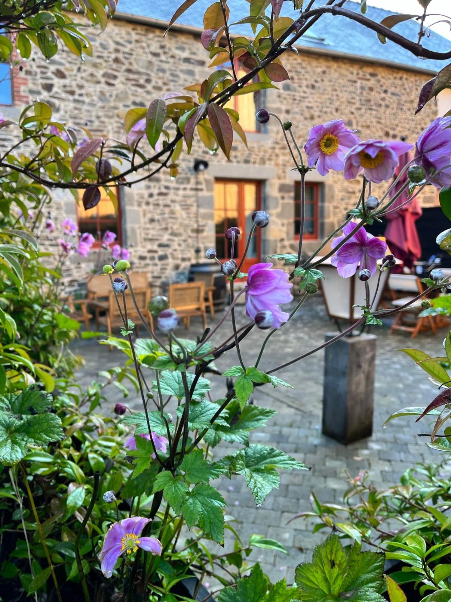 Domaine Du Tertre Ychot 호텔 돌드브레테인 외부 사진